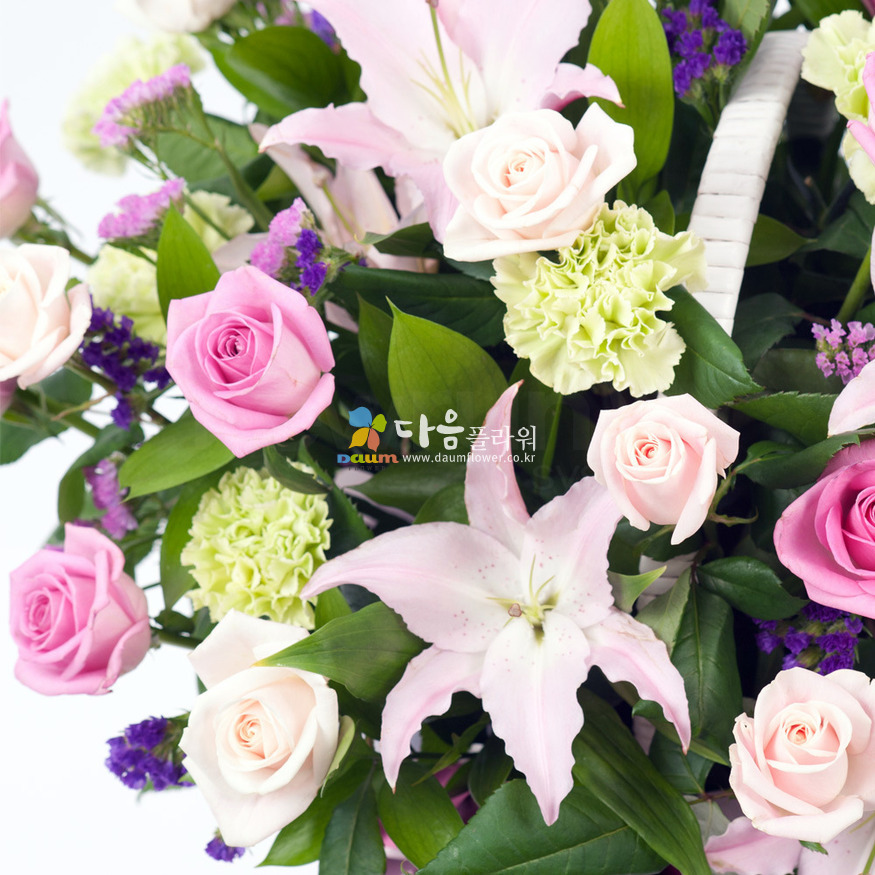상세이미지