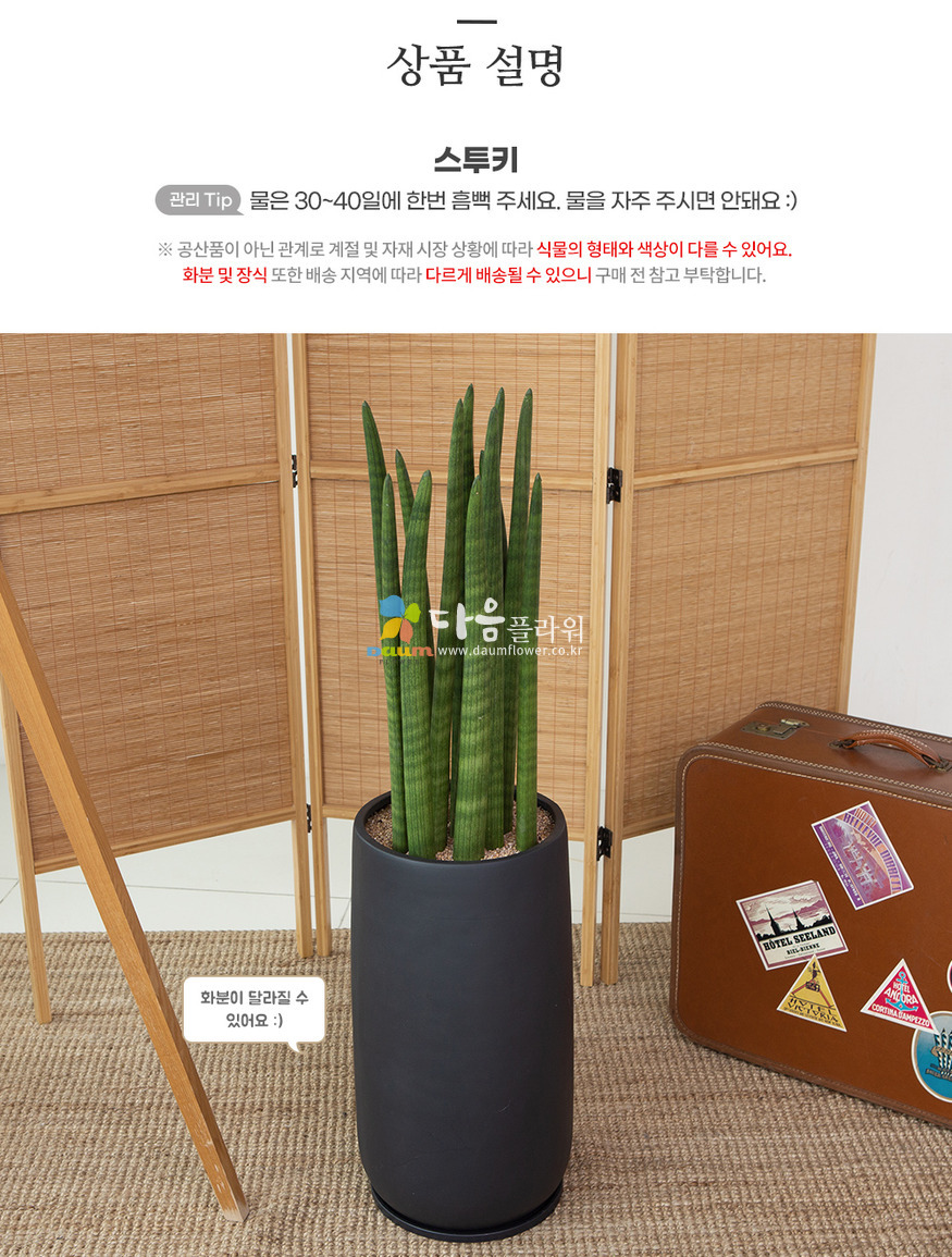 상세이미지