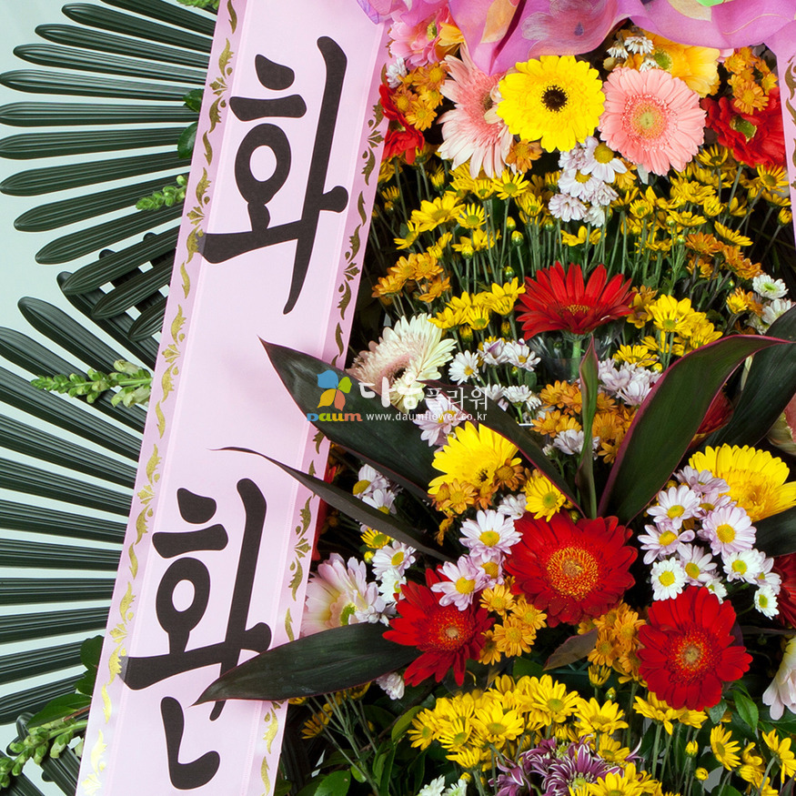 상세이미지