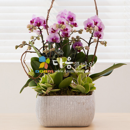 꽃사랑154호