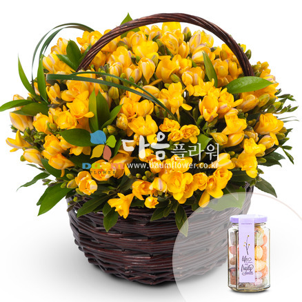 꽃행복292호