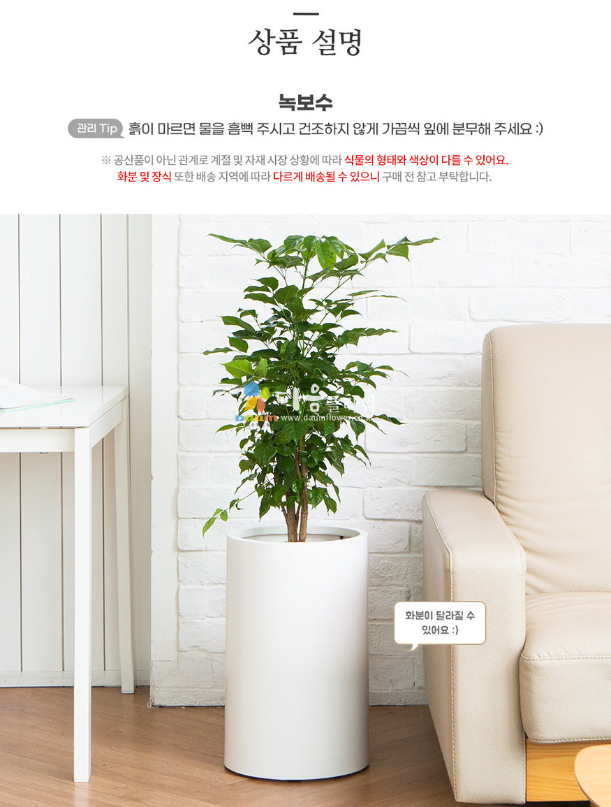 상세이미지