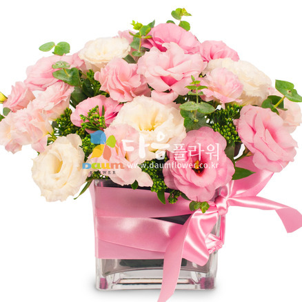 꽃행복289호