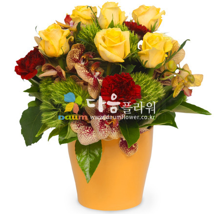 꽃행복291호