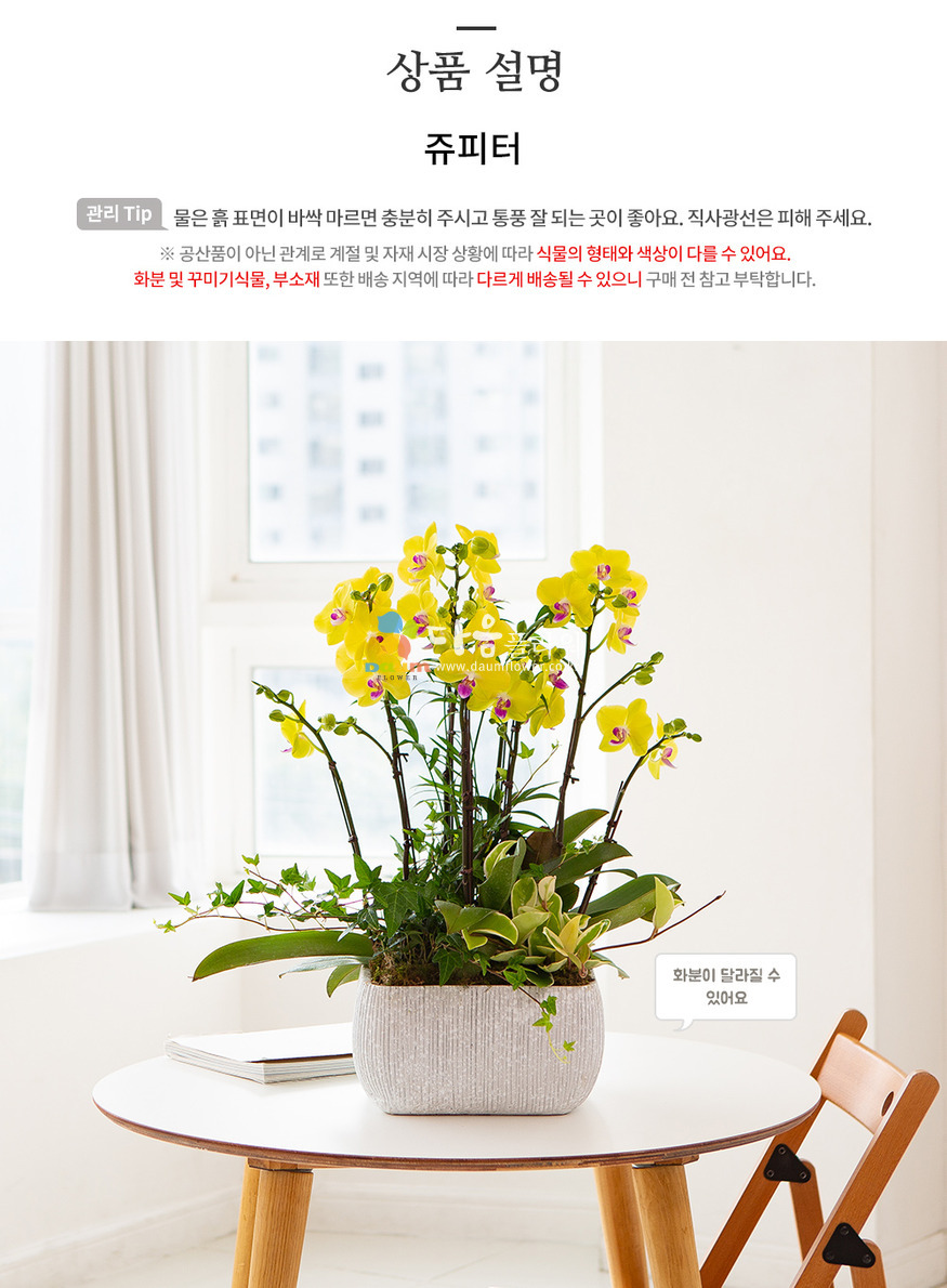 상세이미지