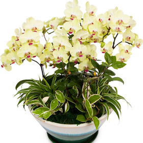 꽃사랑92호