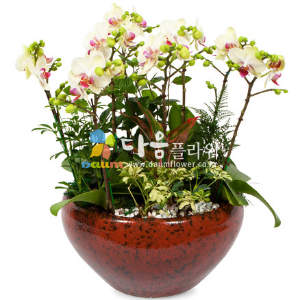 꽃사랑102호