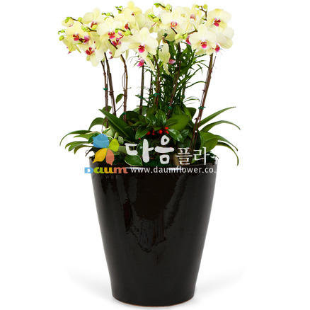 꽃사랑101호