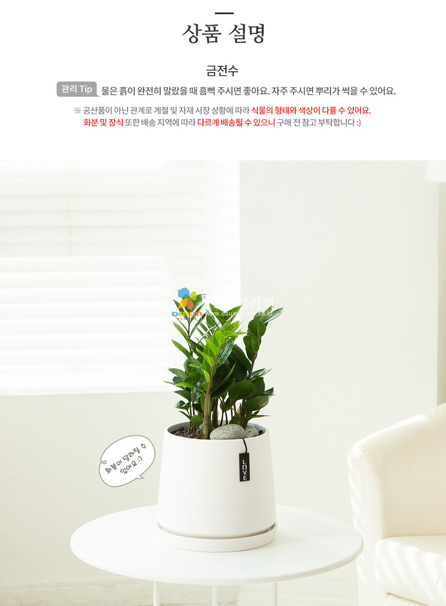 상세이미지