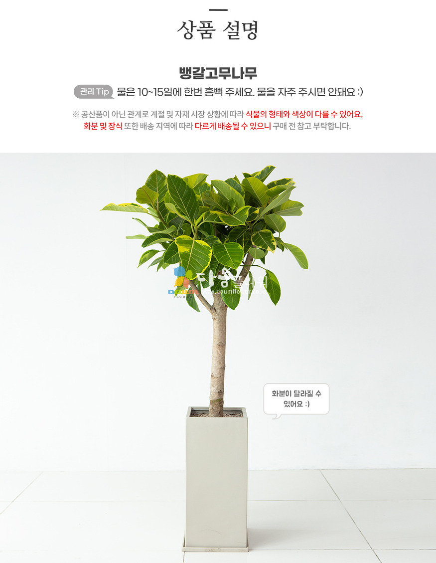 상세이미지