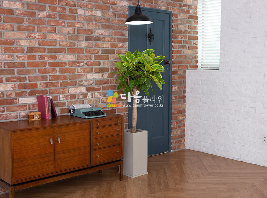 상세이미지