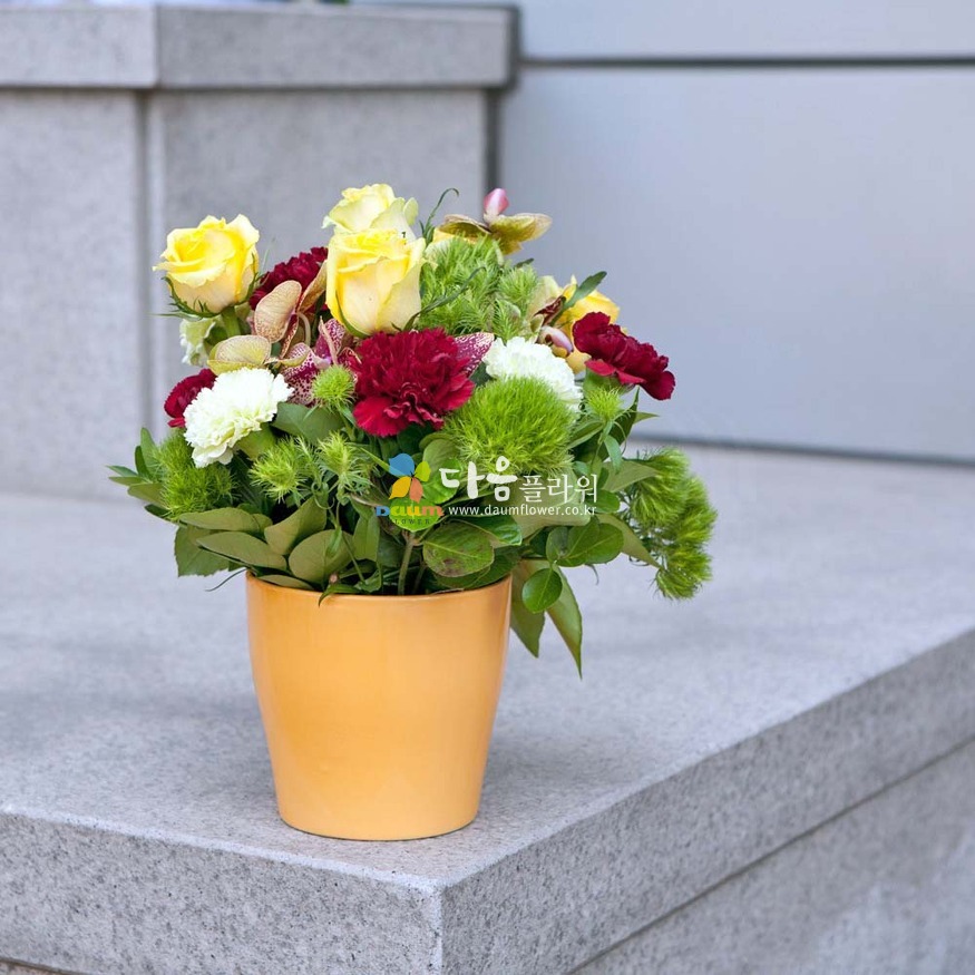 상세이미지
