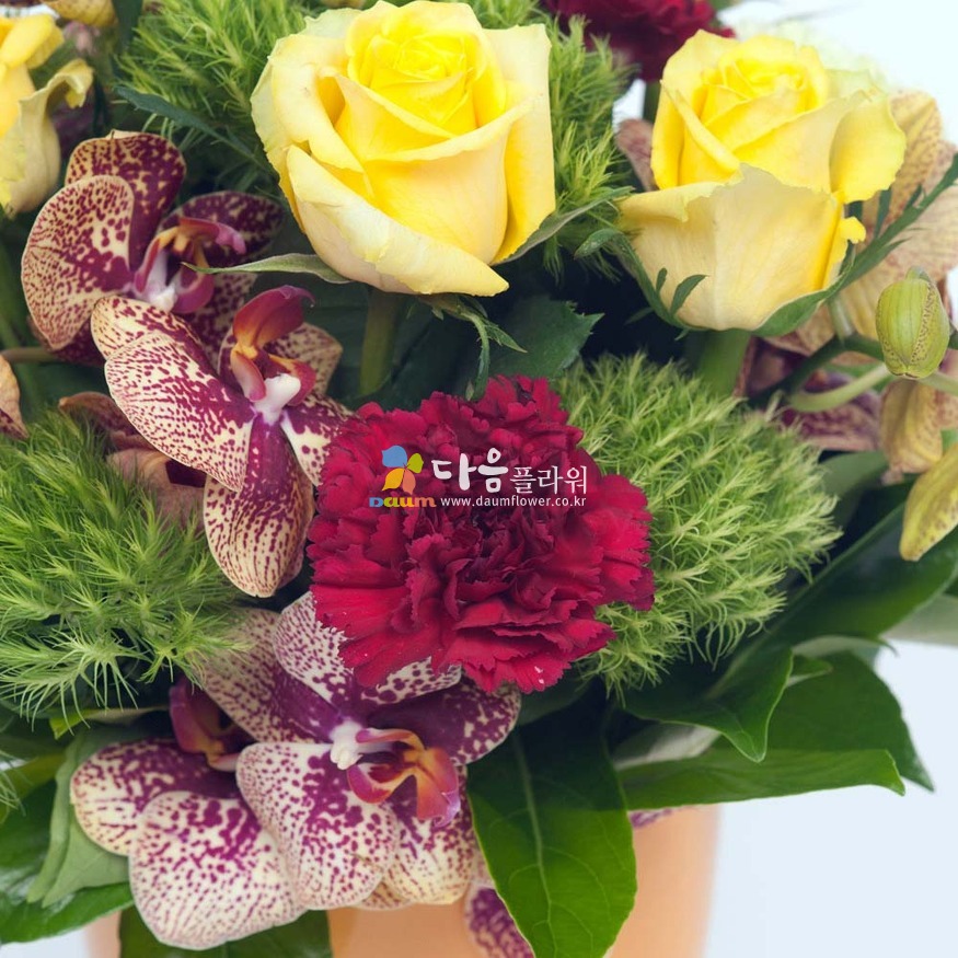상세이미지