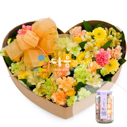 꽃기쁨32호