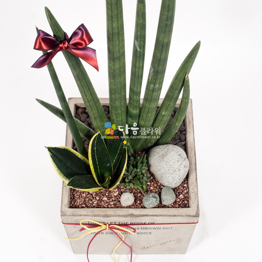 상세이미지