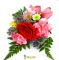 코사지20EA기준(꽃누리88호)