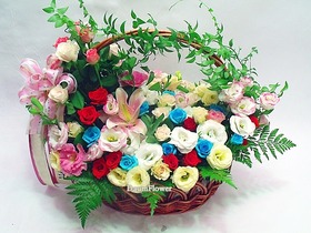 꽃행복145호