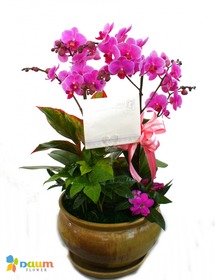 꽃사랑106호