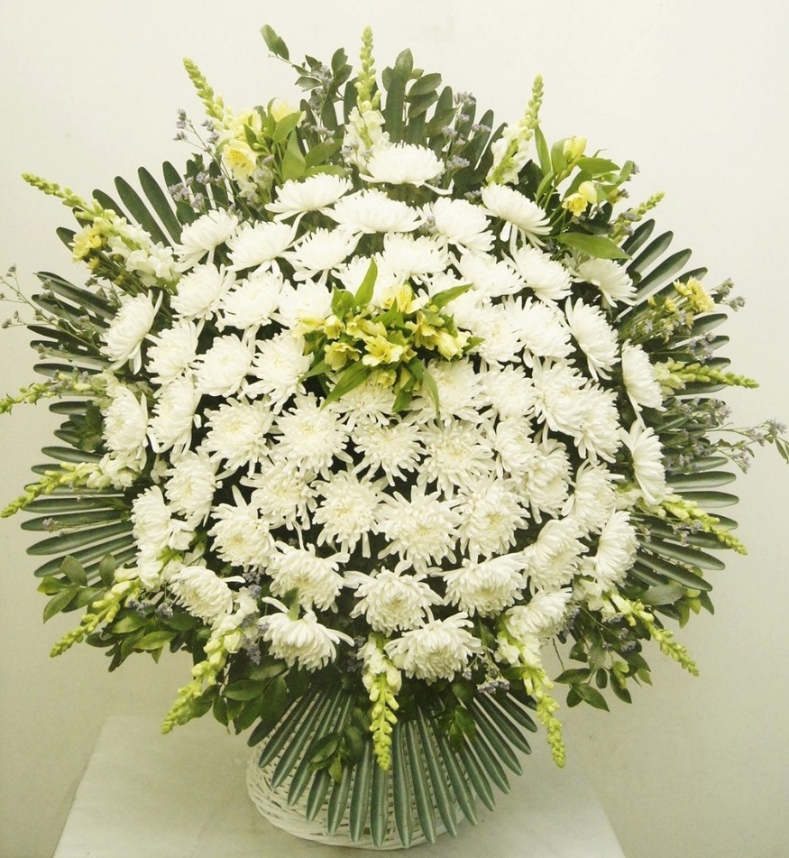 상세이미지