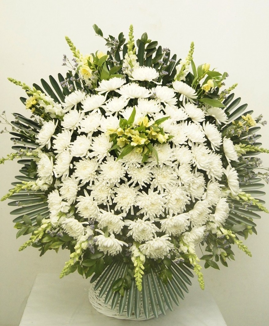 상세이미지