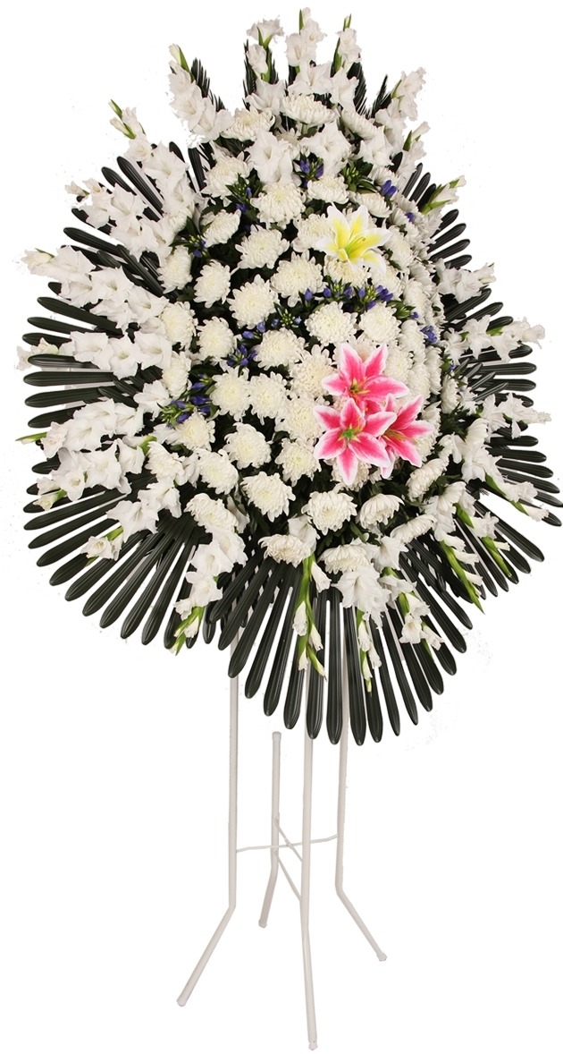 상세이미지