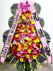 최재* 님 앞으로 배송된 상품입니다.