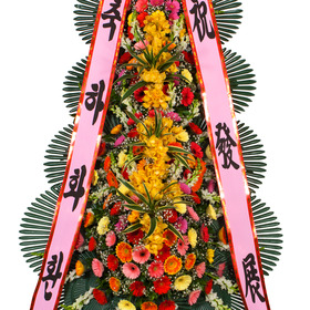 축하화환(꽃축복46호)